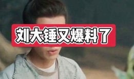 刘大锤爆料抖音视频,热门事件背后惊人真相