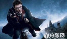 哈利最新爆料2024,哈利独家爆料，揭秘年度热点与趋势